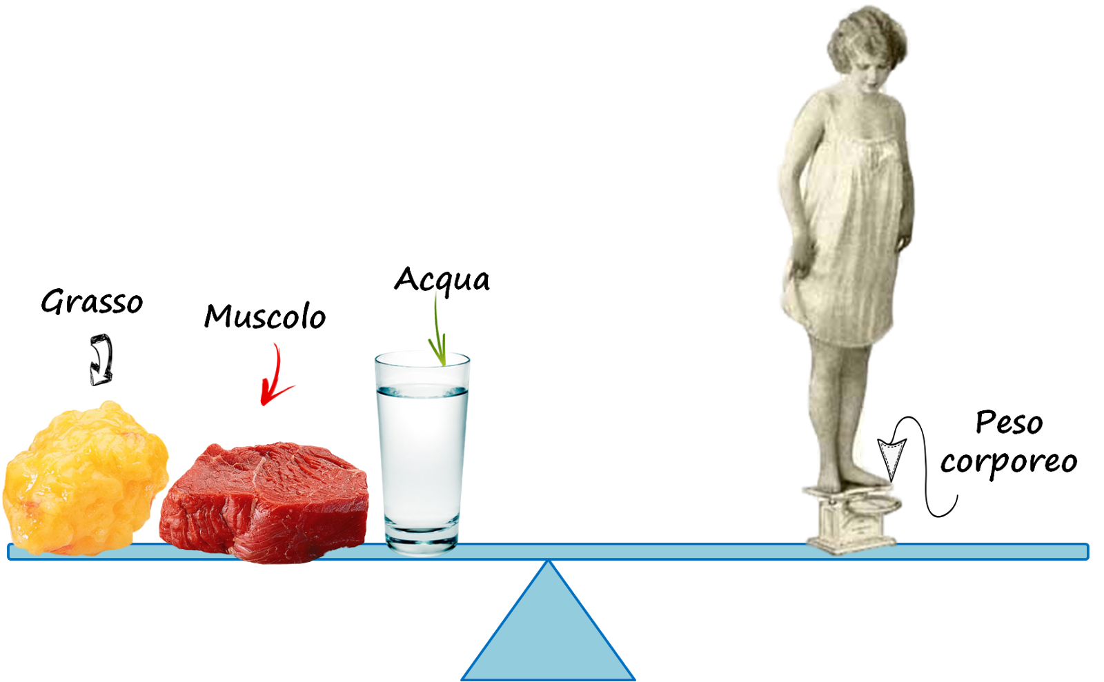 Risultati immagini per grasso e muscolo peso